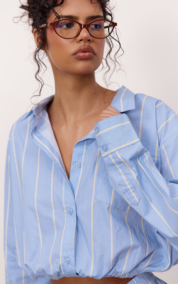 Blue Stripe Cinched Crop Shirt