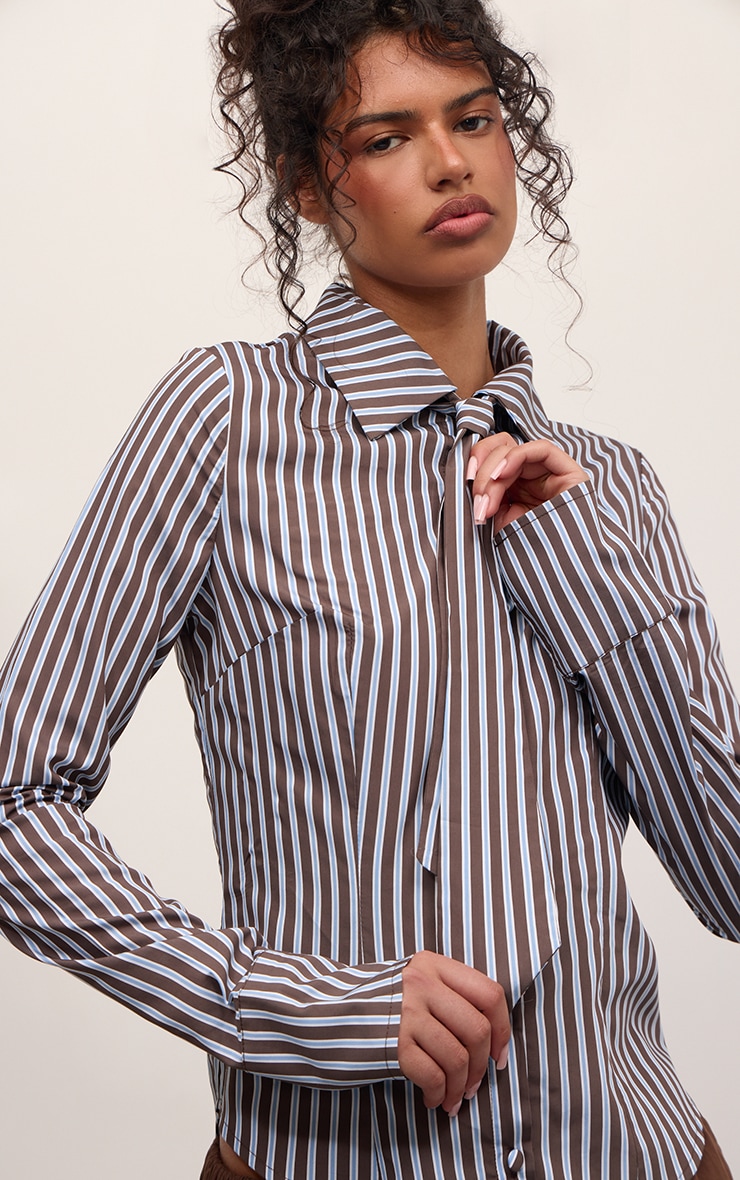 Blue Stripe Tie Detail Fitted Shirt