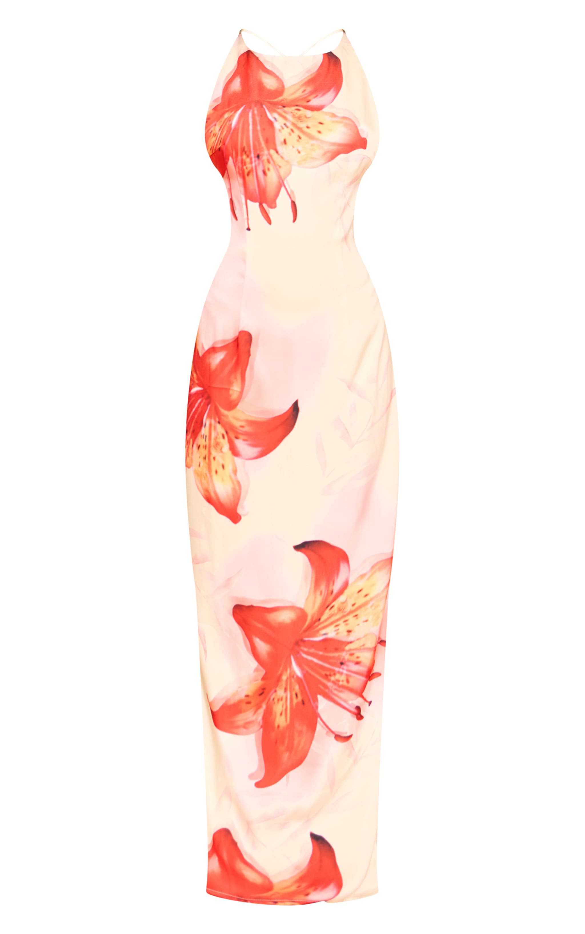 Petite Butter Cream Floral Strappy Open Back Maxi Dress image 5