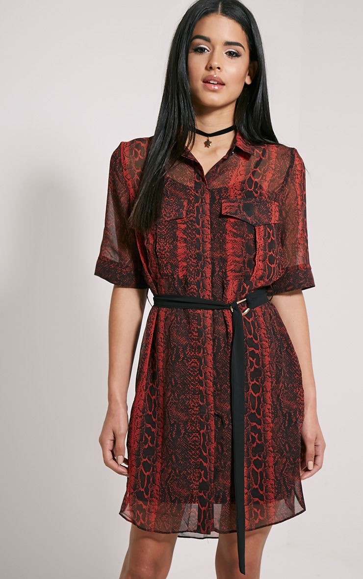 Red Snake Print Dress