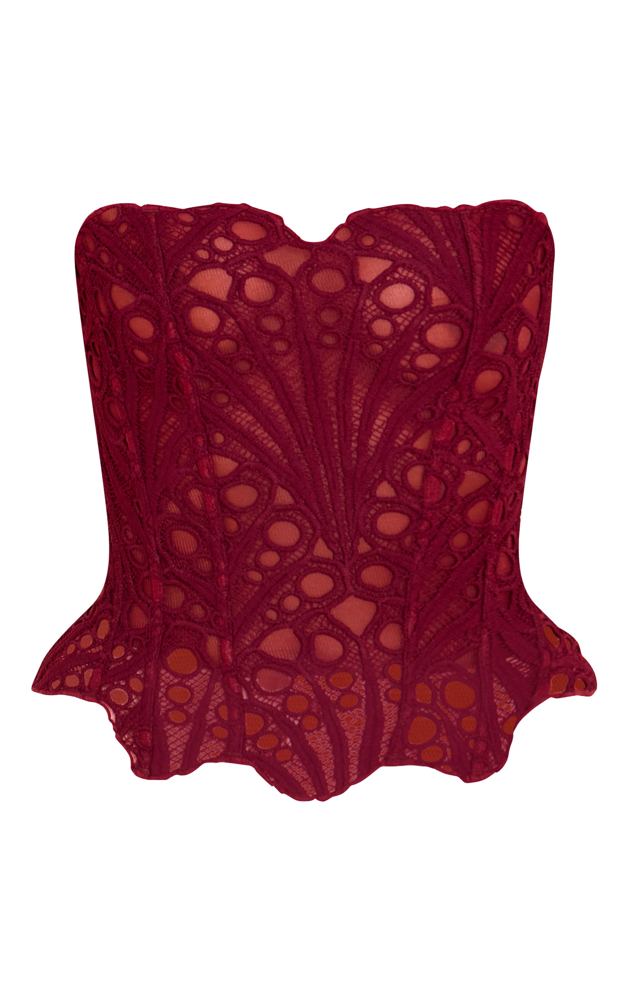 Wine Textured Sheer Floral Lace Corset image 5