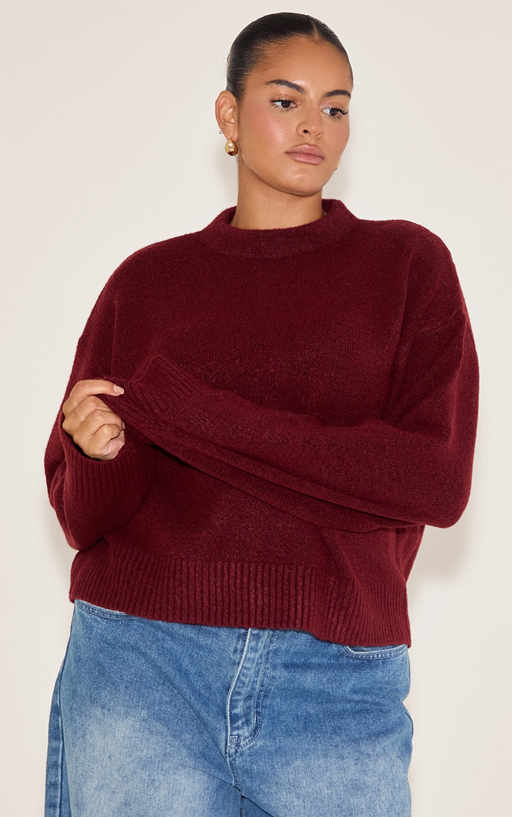 Plus Deep Red Knit High Neck Crop Jumper image 4
