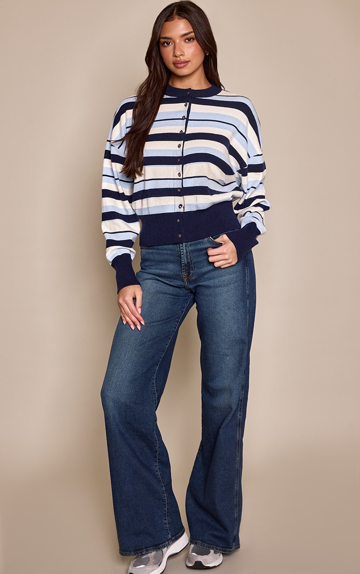 Blue Stripe Compact Knitted Cardigan  image 3