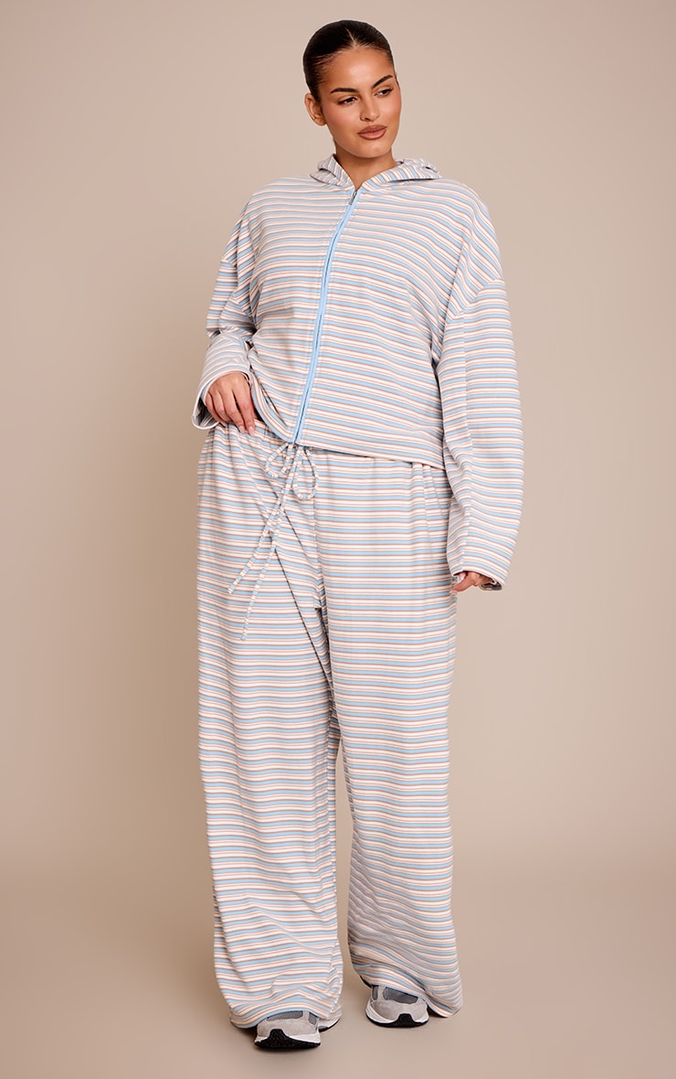 Plus Light Blue Striped Soft Fleece Zip Up Hoodie image 3