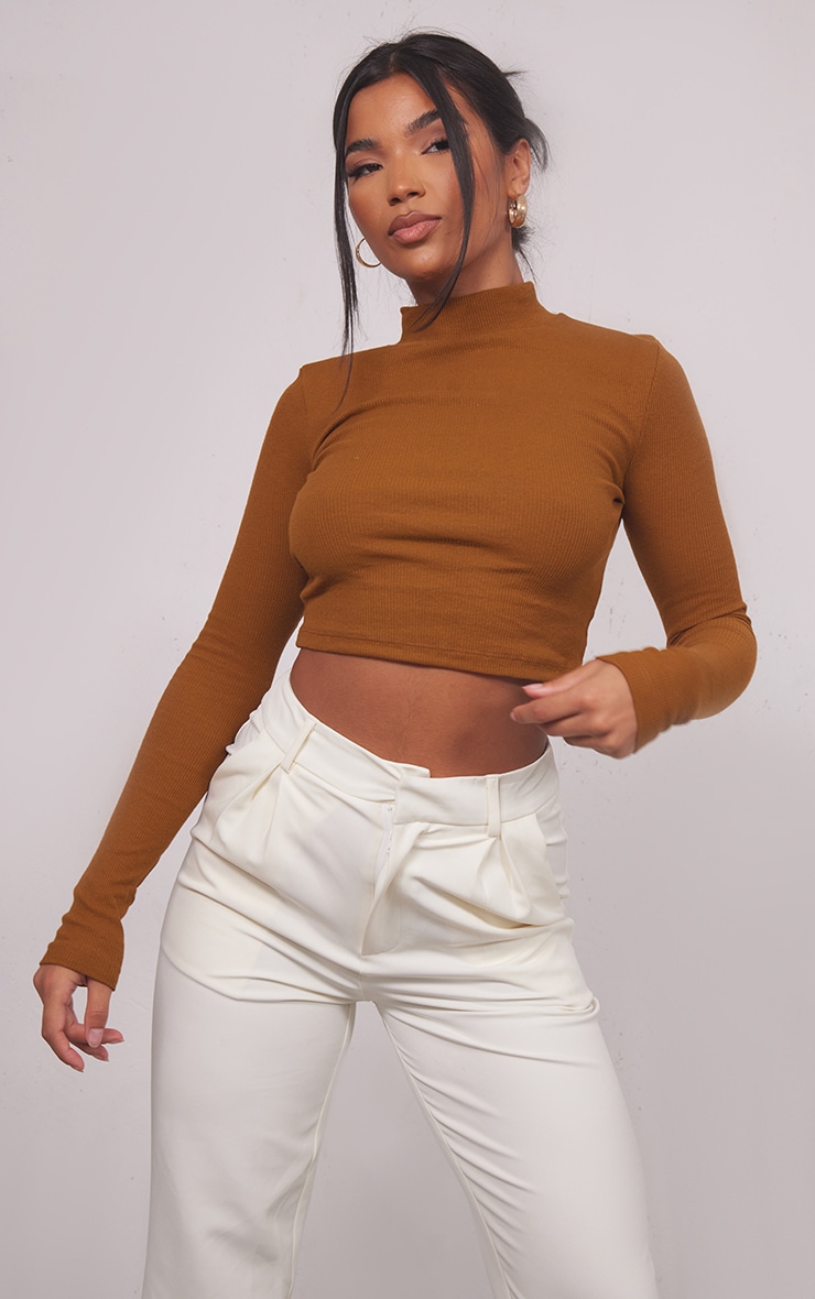 Basic Camel Rib High Neck Long Sleeve Crop Top image 1