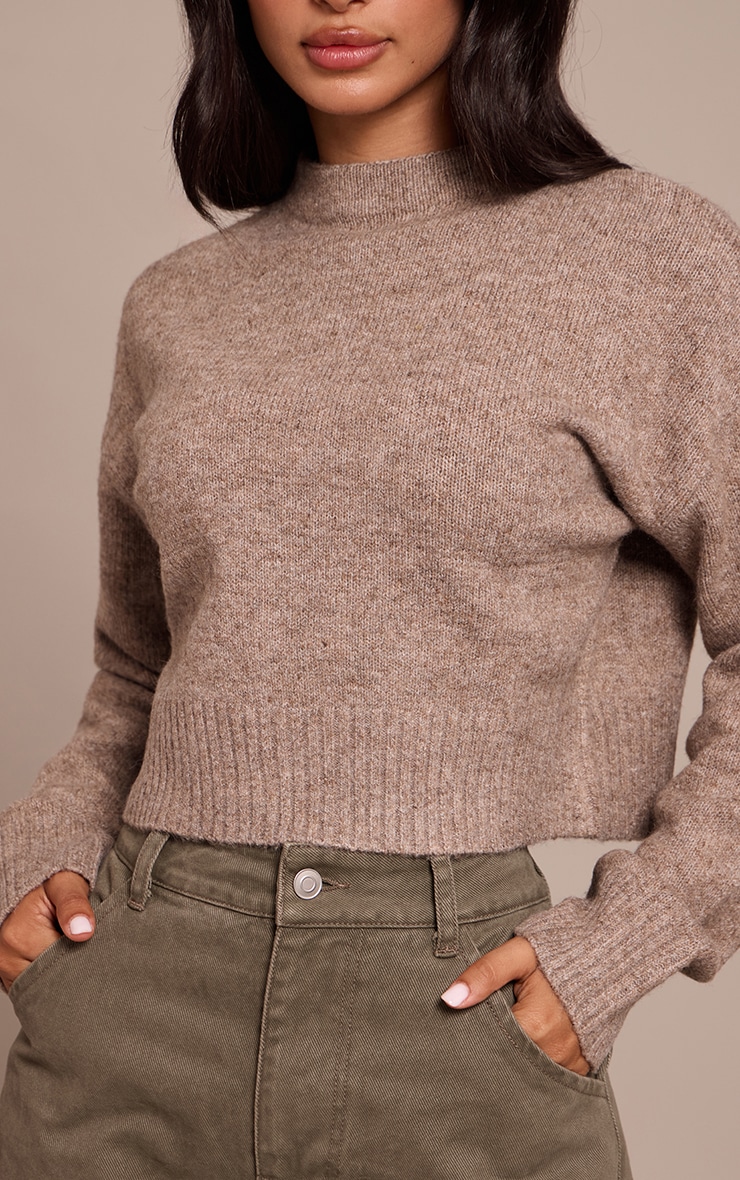 Petite Taupe Knit High Neck Crop Sweater image 4