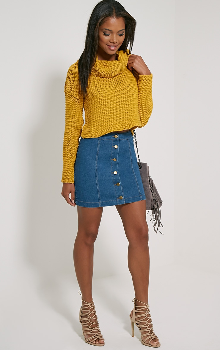 Resi Mustard Roll Neck Long Sleeve Crop Jumper PrettyLittleThing