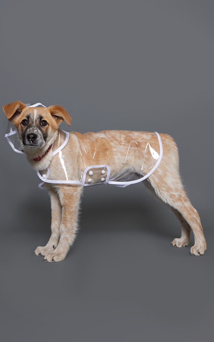 White Binding Transparent Dog Rain Jacket image 1