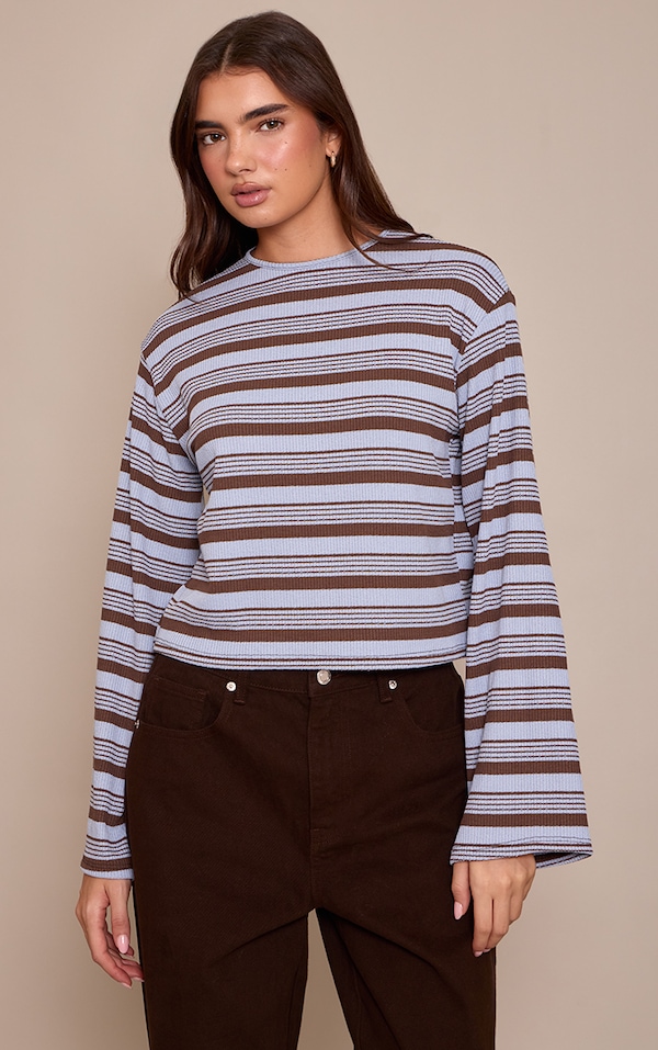 Blue Textured Stripe Detail Long Sleeve Top 