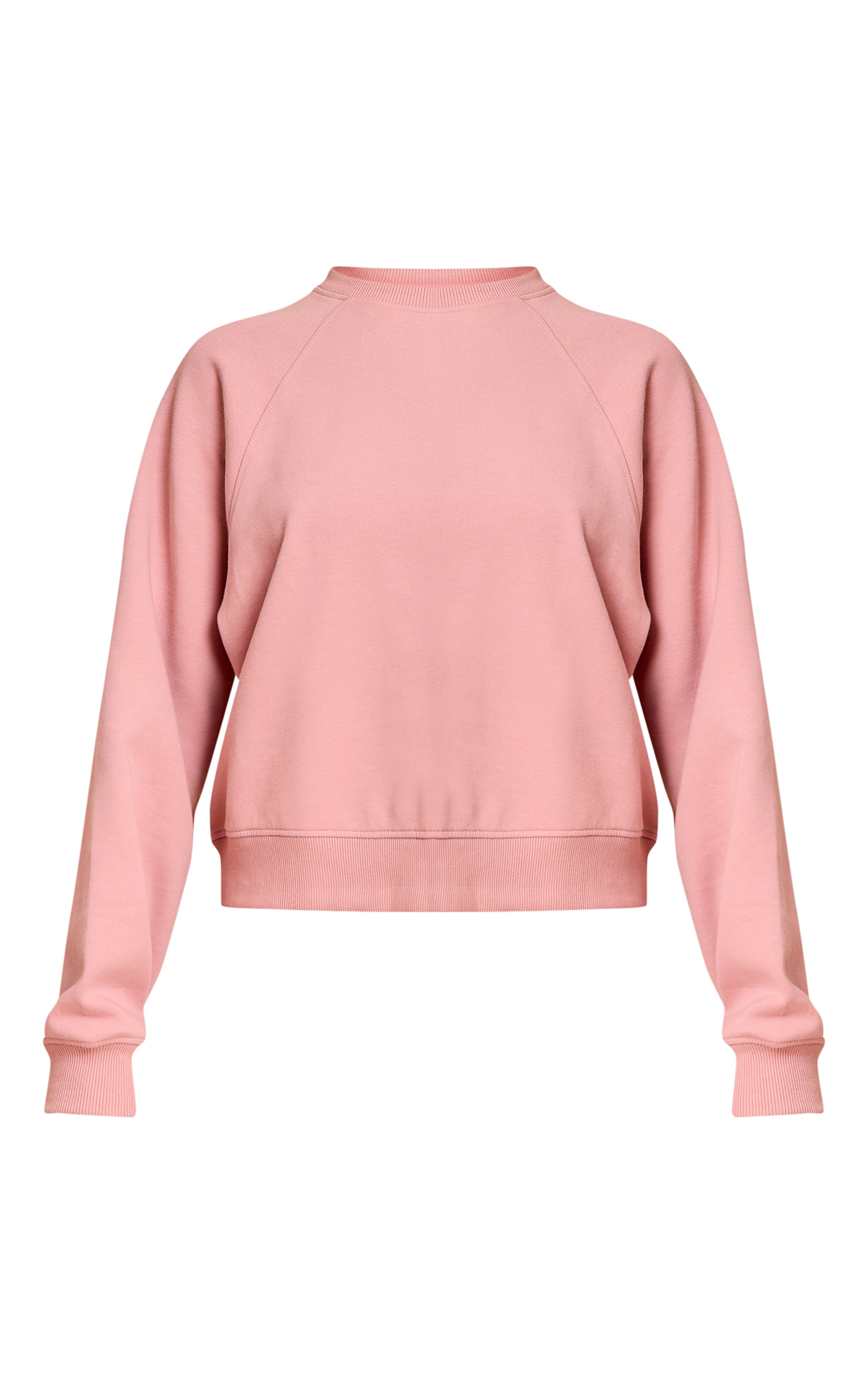 Petite Pink Crew Neck Sweatshirt image 5