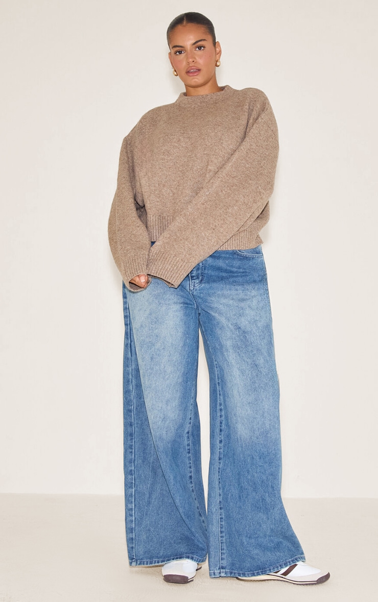 Plus Taupe Knit High Neck Crop Jumper image 3