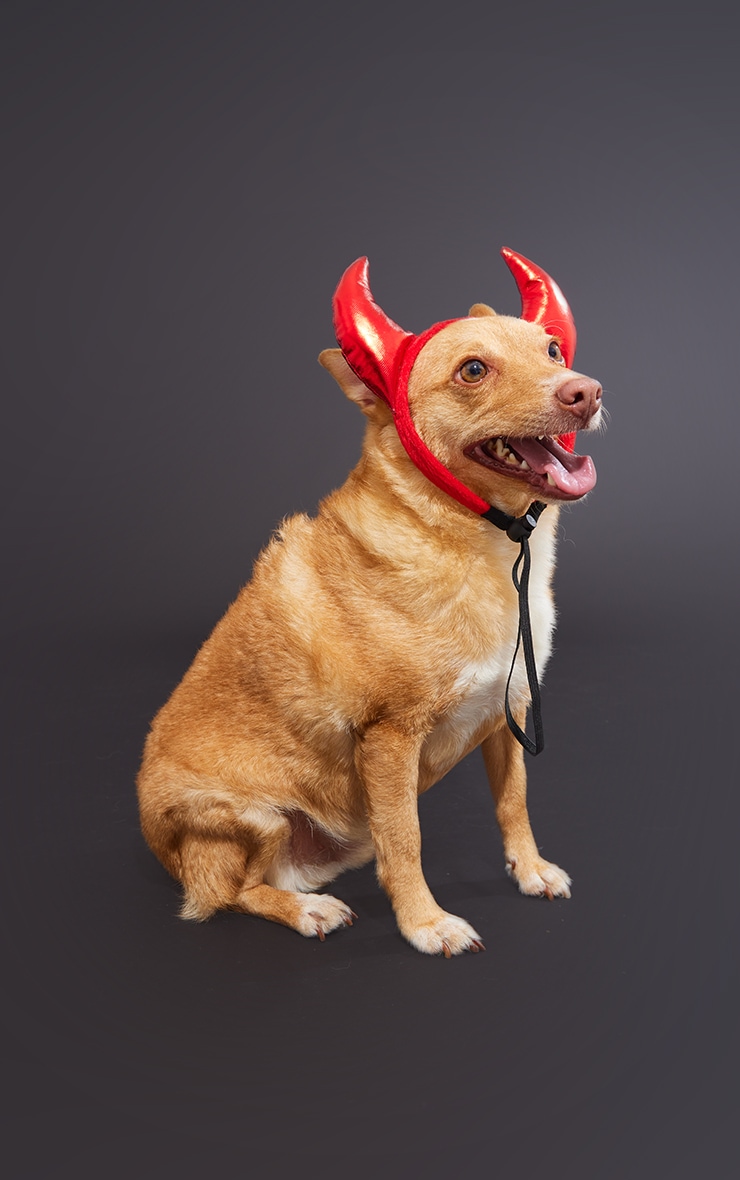 Red Dog Devil Horns Halloween Costume PrettyLittleThing CA