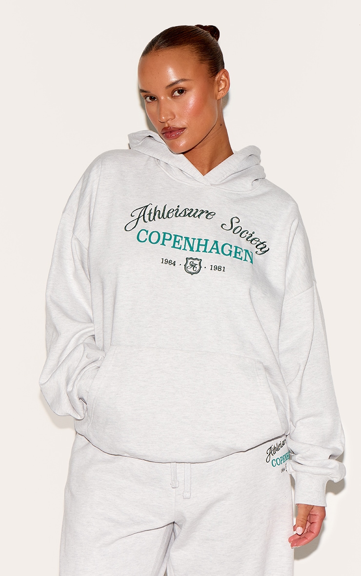 Plus Hoodie deluxe gris brodé "New York" image 1
