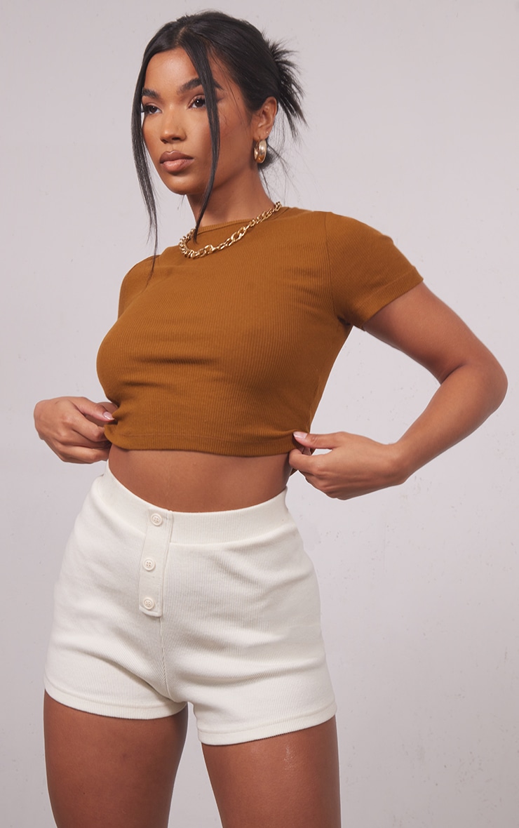 Camel Rib Short Sleeve Crop Top image 3