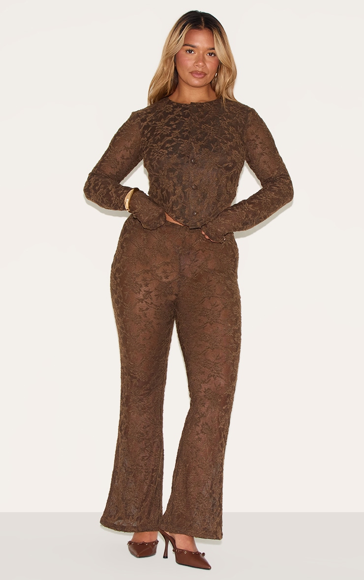 Shape Chocolate Textured Lace Highwaisted Flare Pants image 1