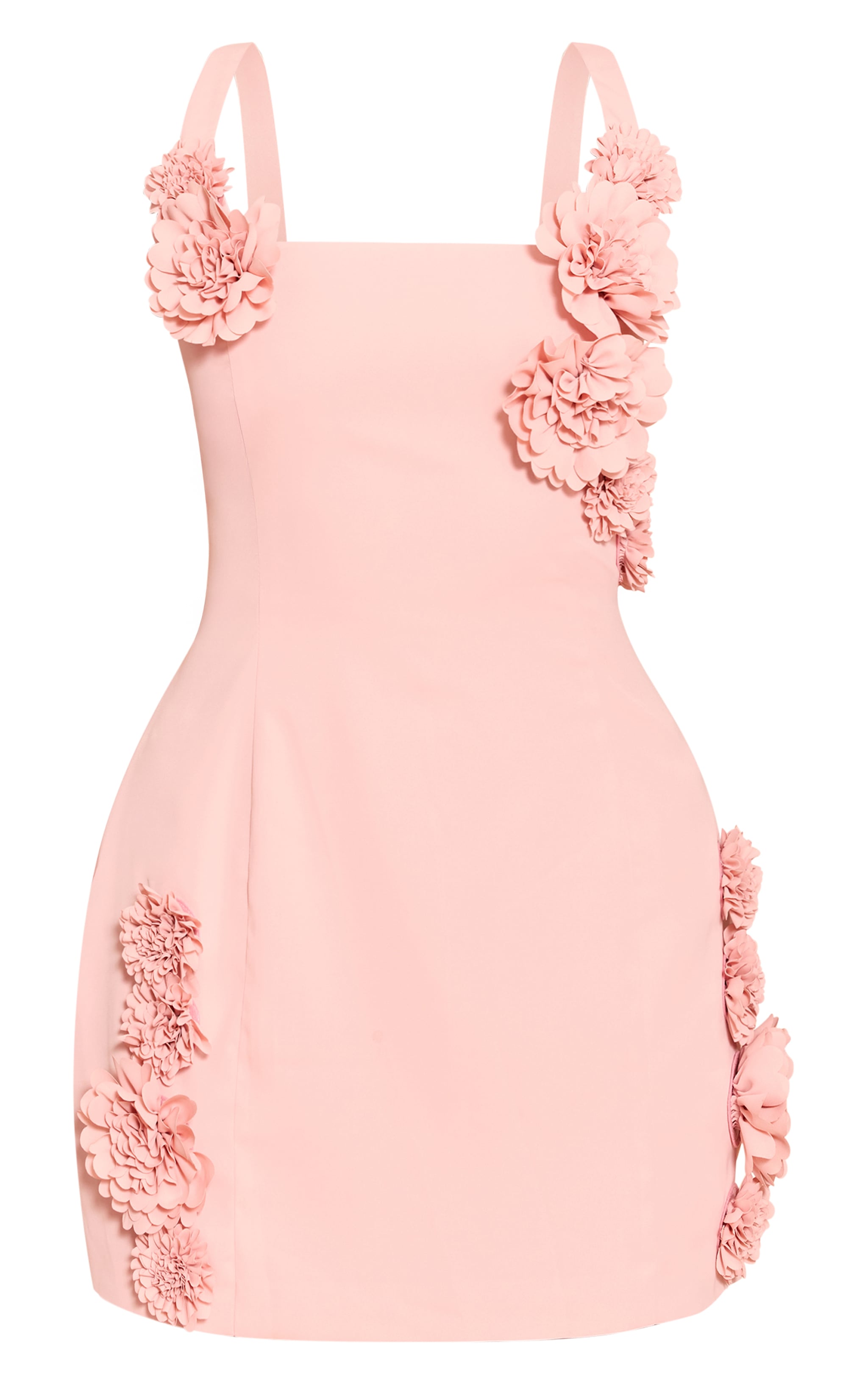 Blush Floral Detail Shift Dress image 5