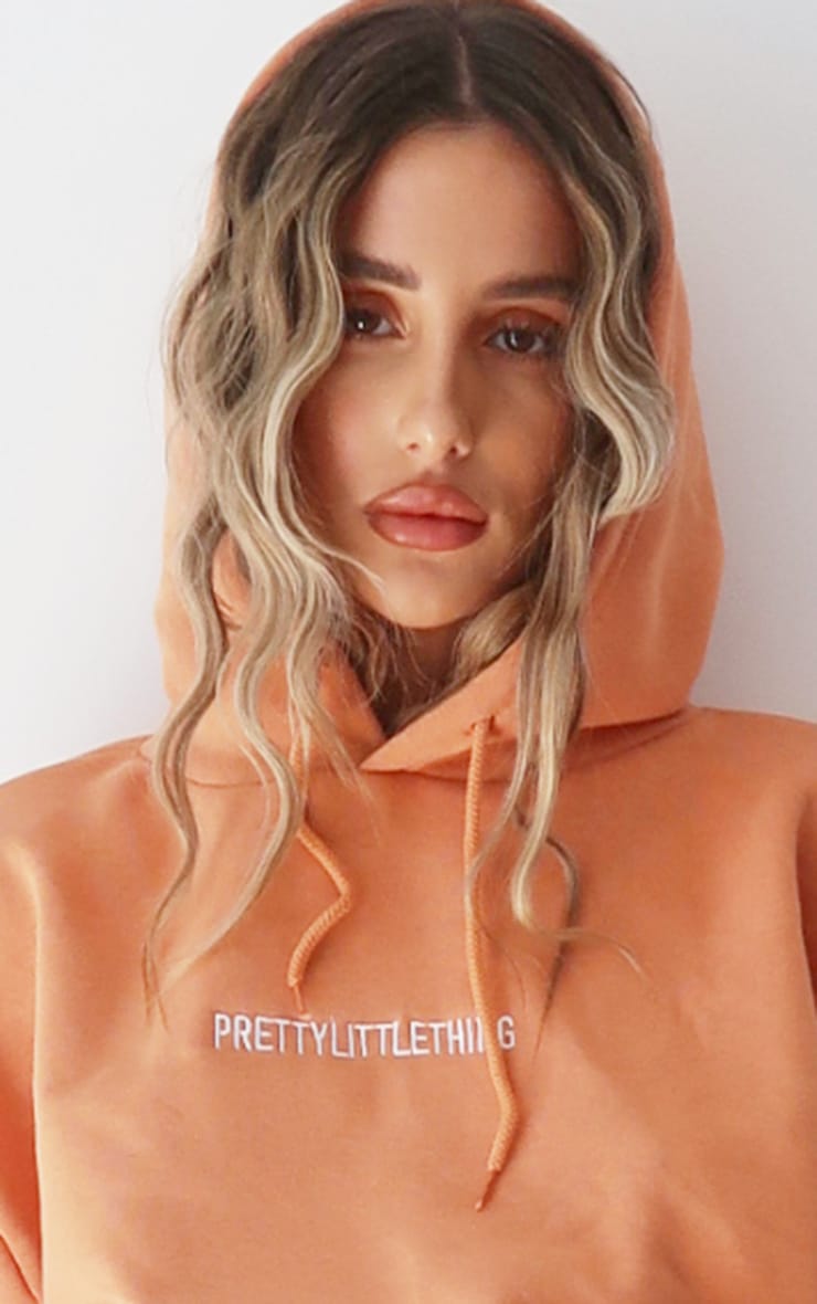 PRETTYLITTLETHING Chestnut Embroidered Graphic Hoodie image 4