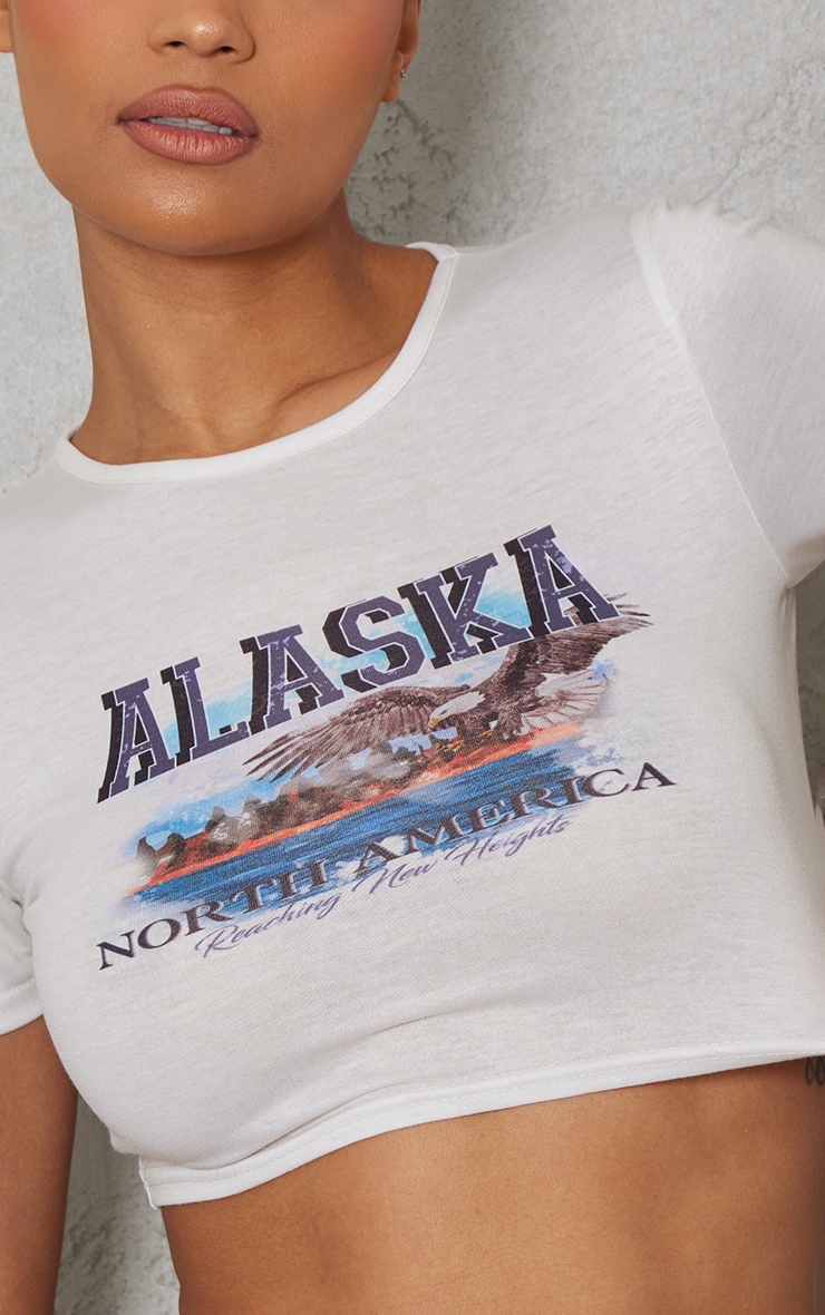 T-shirt court gris pierre à imprimé Alaska image 4