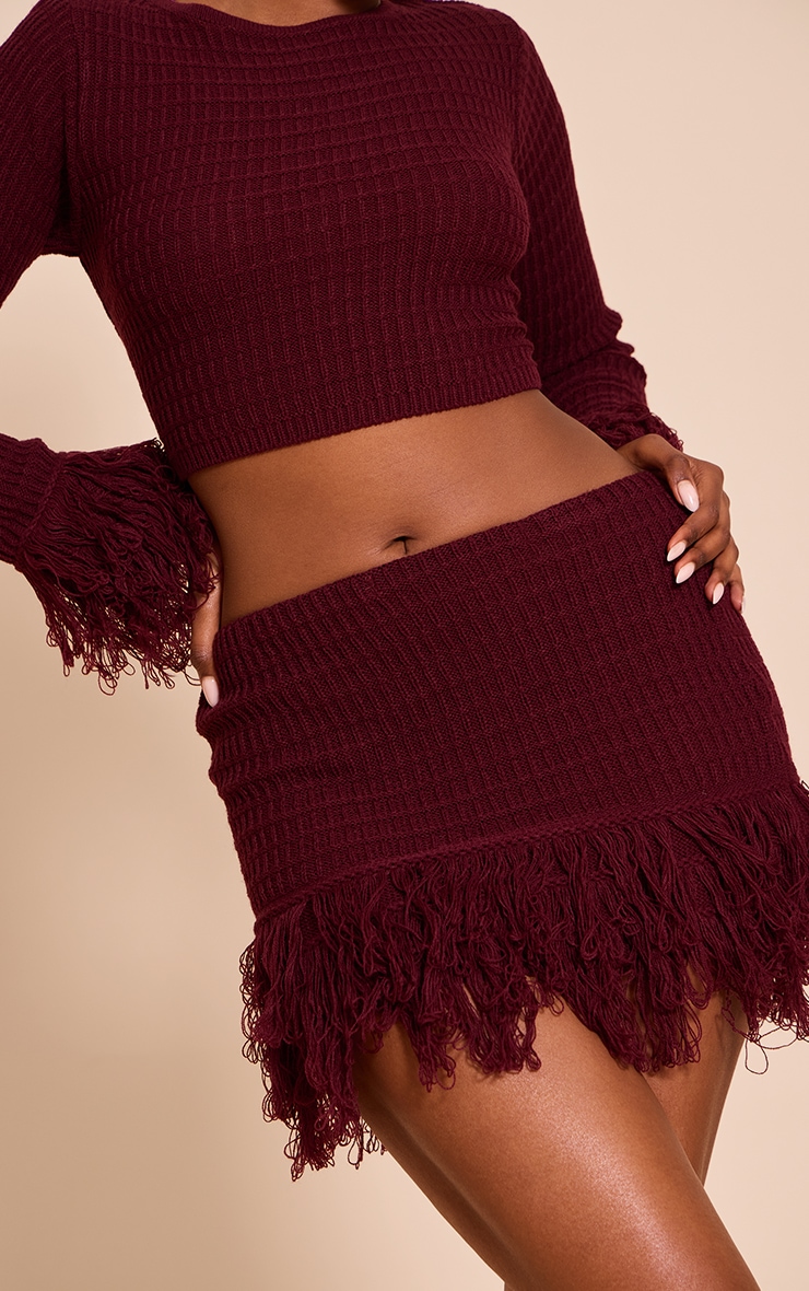 Wine Tassel Hem Mini Skirt image 5