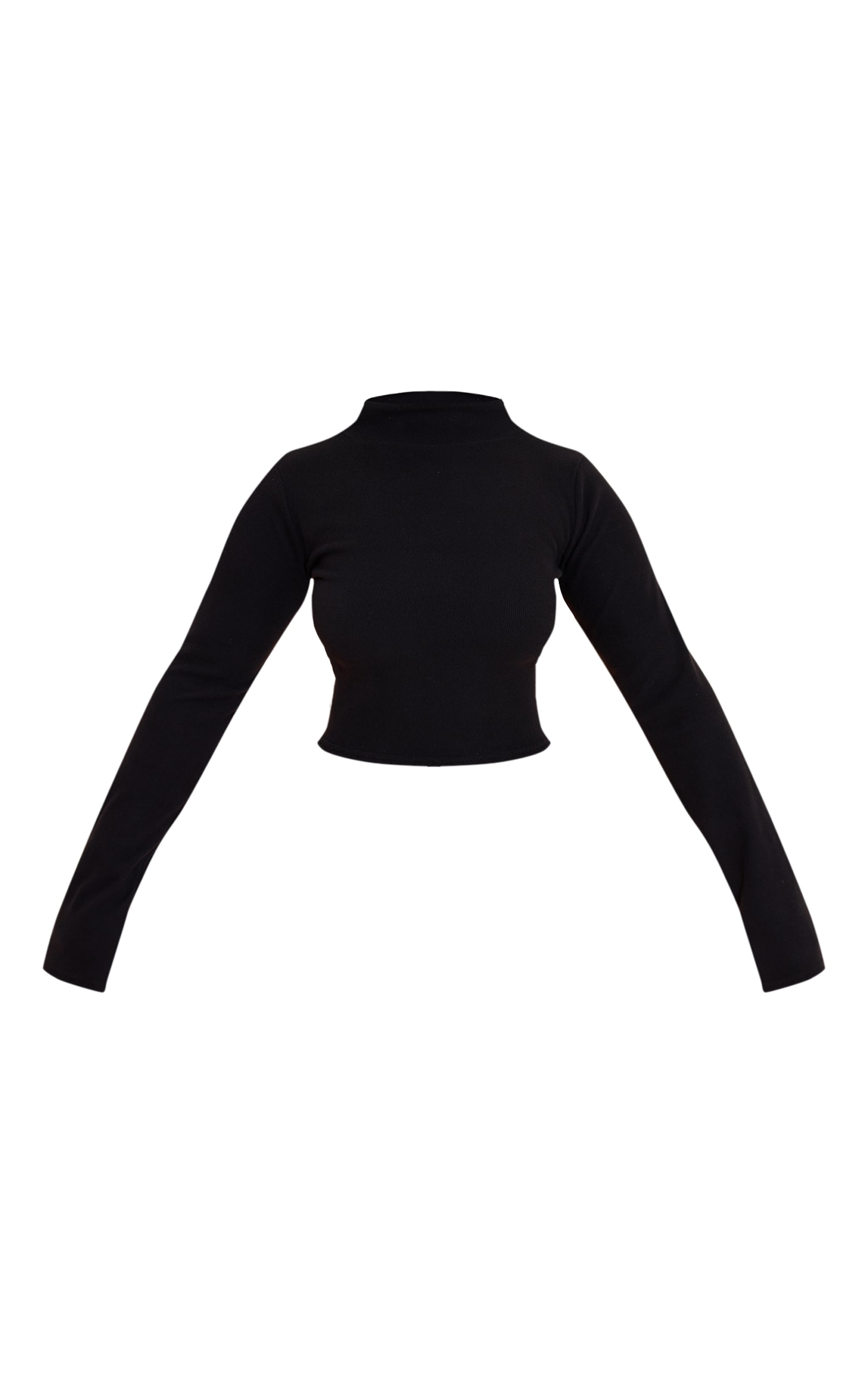 Shape Black Micro Rib Long Sleeve Roll Neck Top image 5