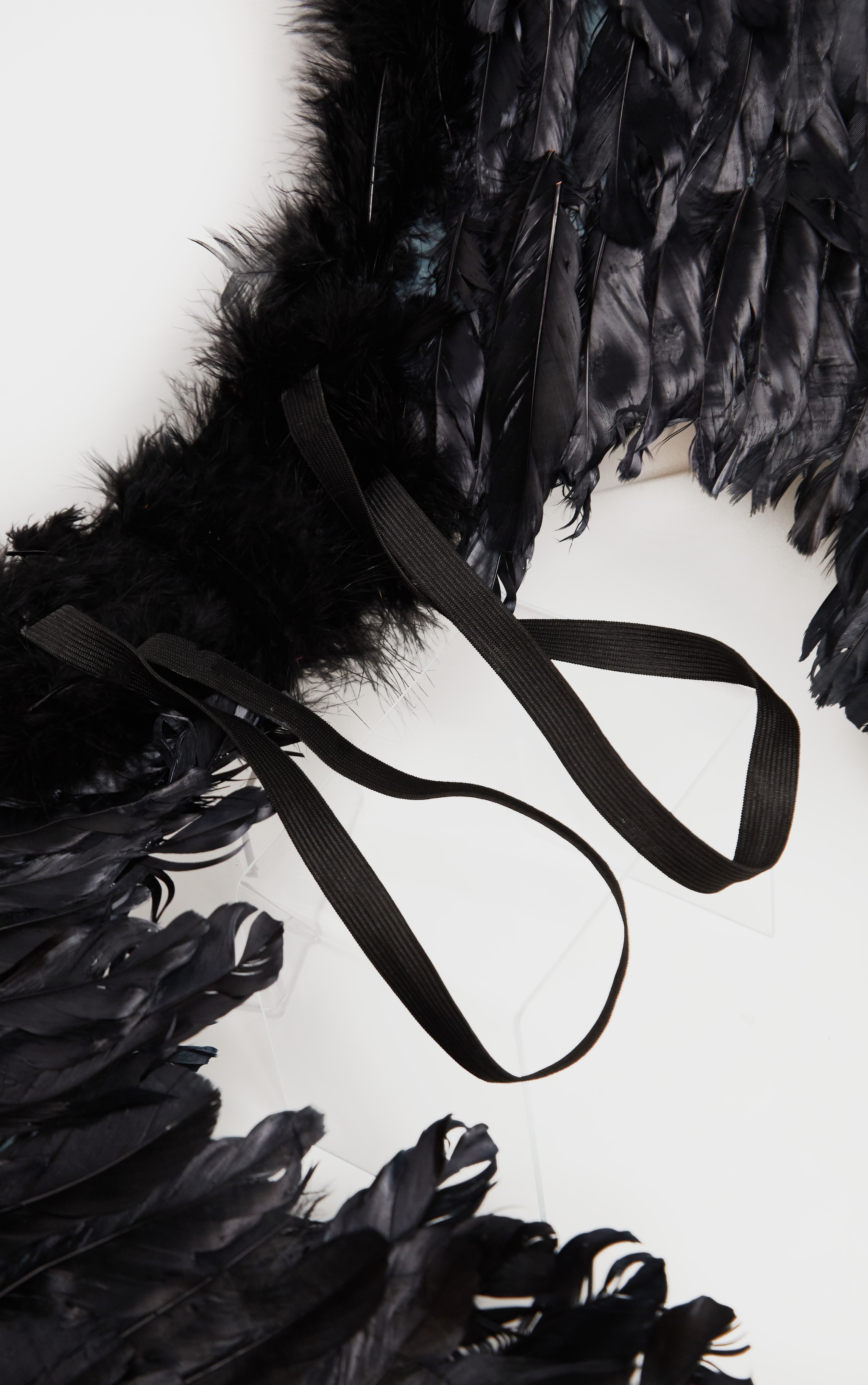Black Extra Large Feather Angel Wings PrettyLittleThing AUS