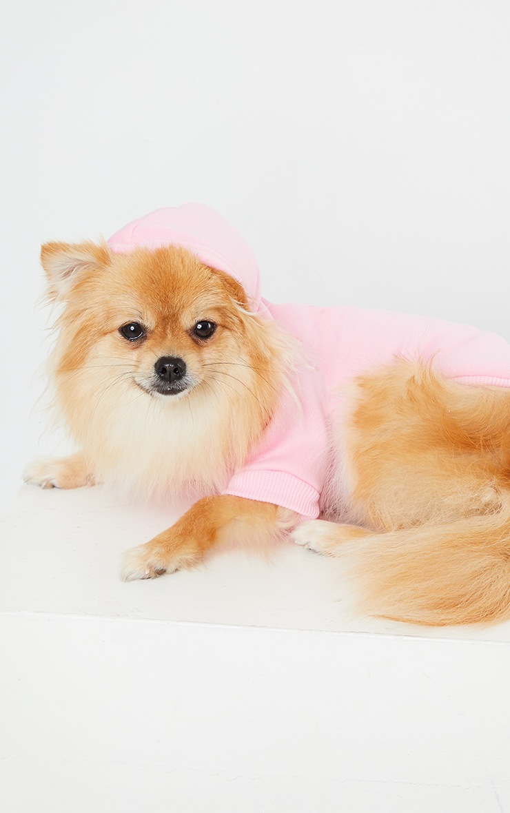 Pink Doggy Hoodie