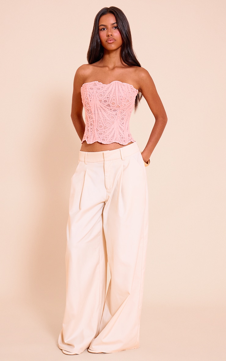 Petite Pink Textured Sheer Floral Lace Corset image 3