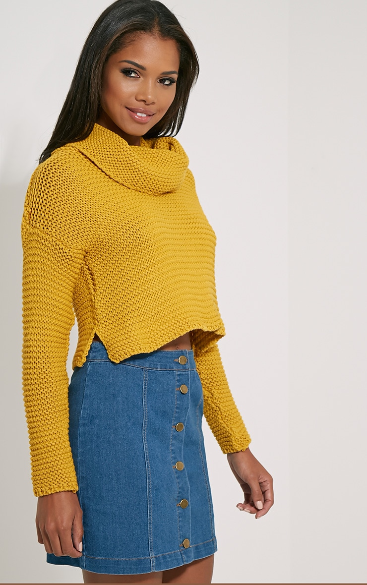 Resi Mustard Roll Neck Long Sleeve Crop Jumper PrettyLittleThing