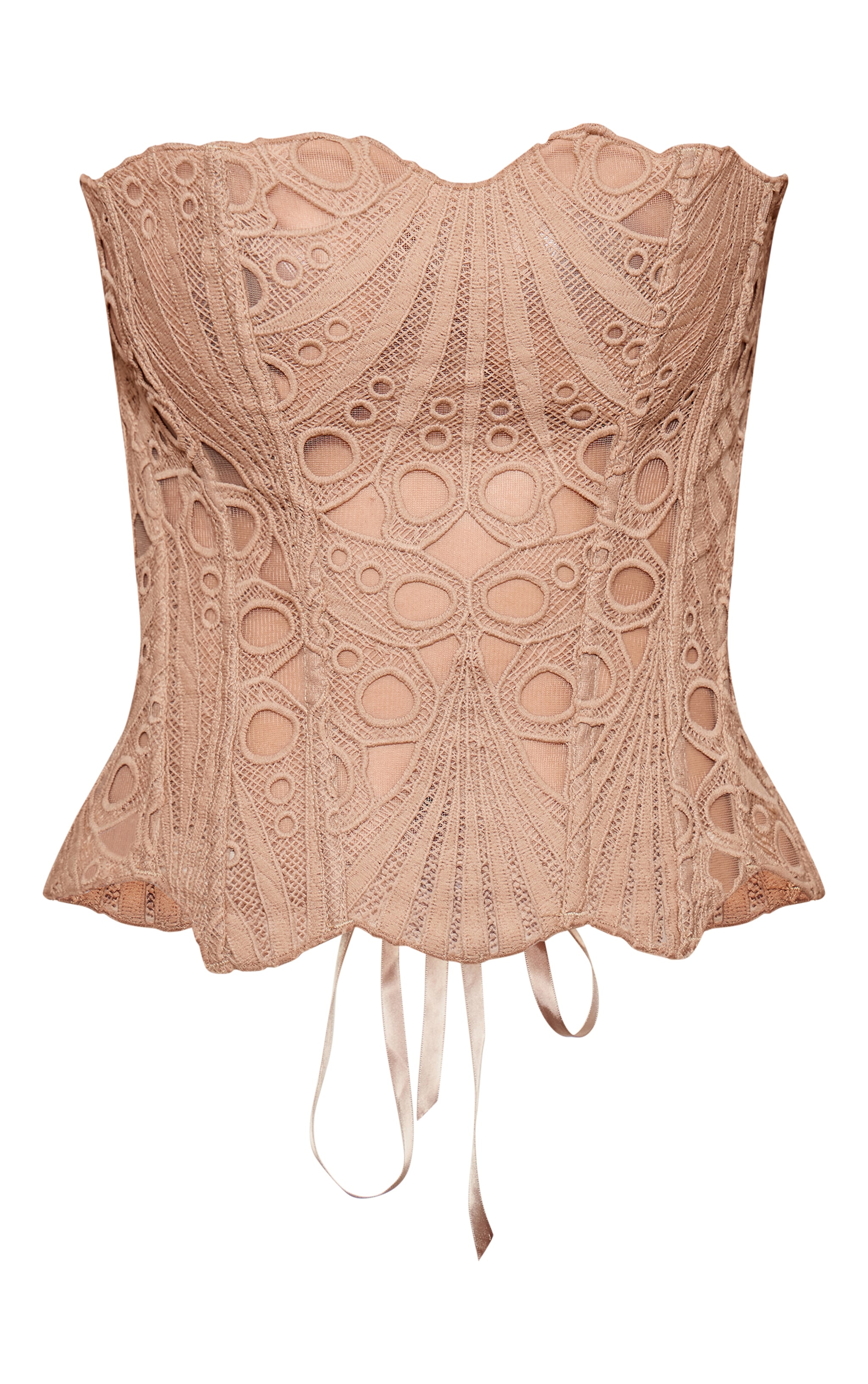Brown Textured Sheer Floral Lace Corset