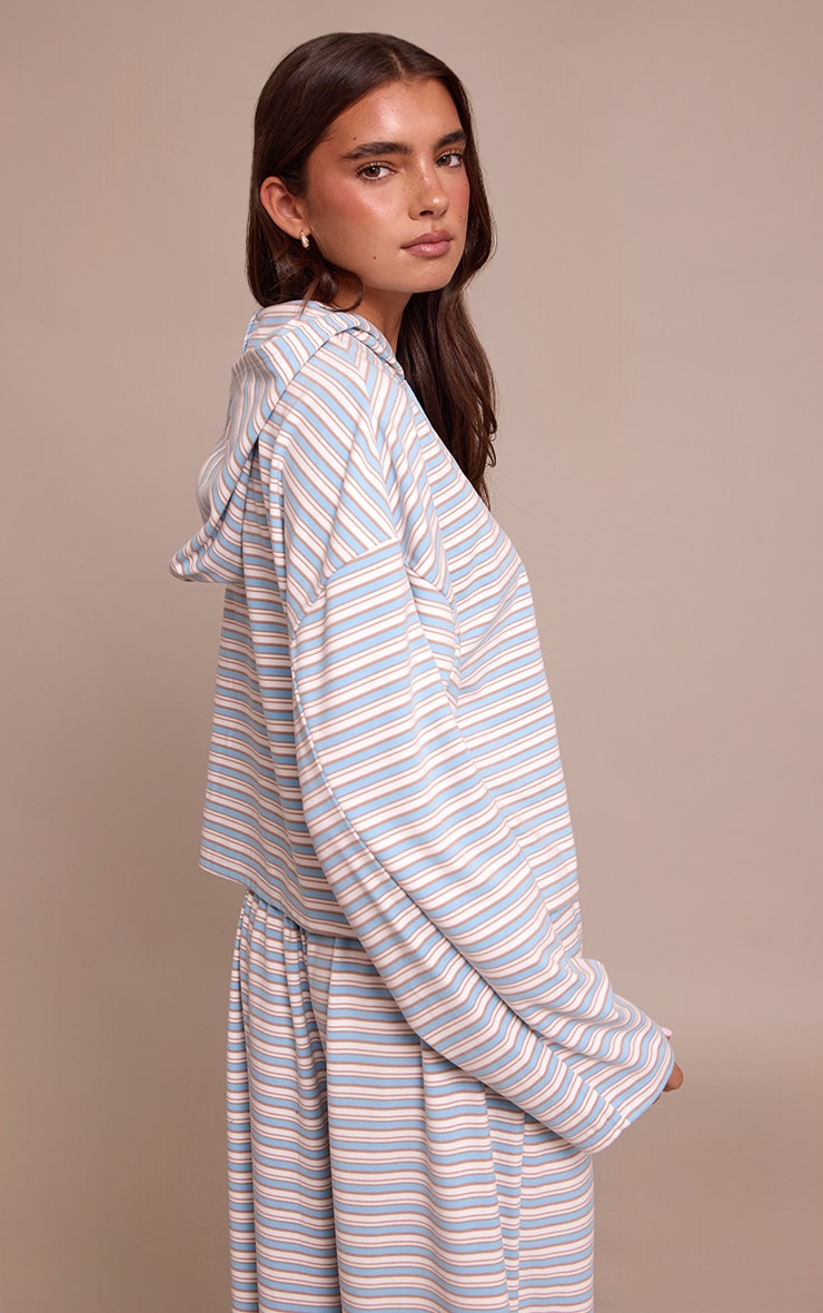 Light Blue Striped Soft Fleece Zip Up Hoodie image 2