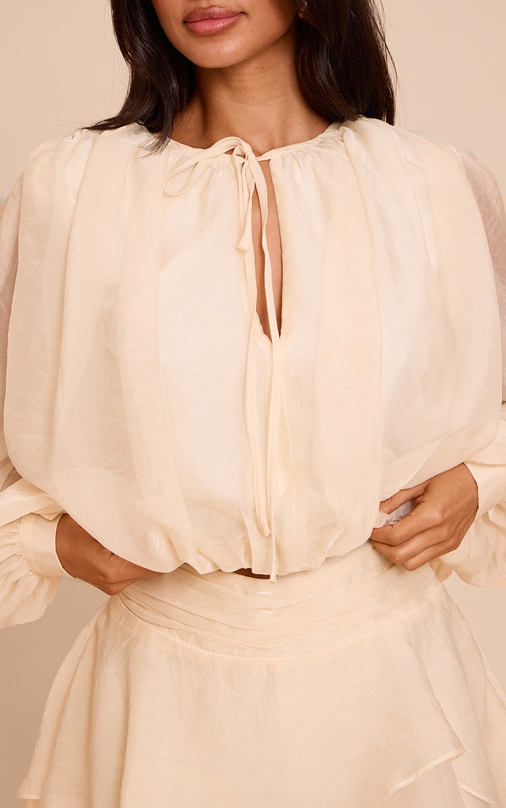 Petite Cream Floaty Organza Balloon Sleeve Long Top image 4