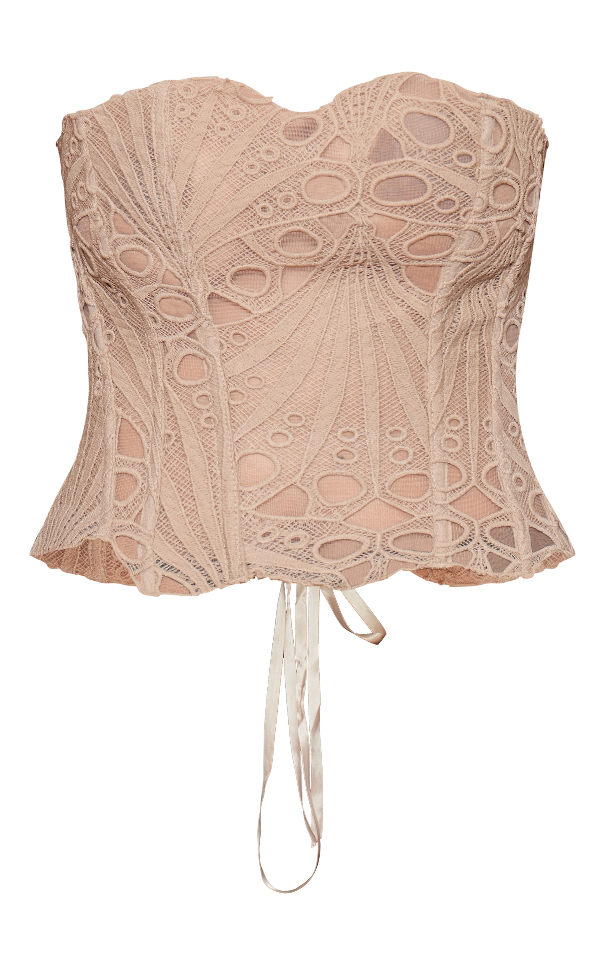 Almond Textured Sheer Floral Lace Corset image 5