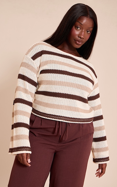 Plus Brown Striped Boatneck Long Sleeve Top