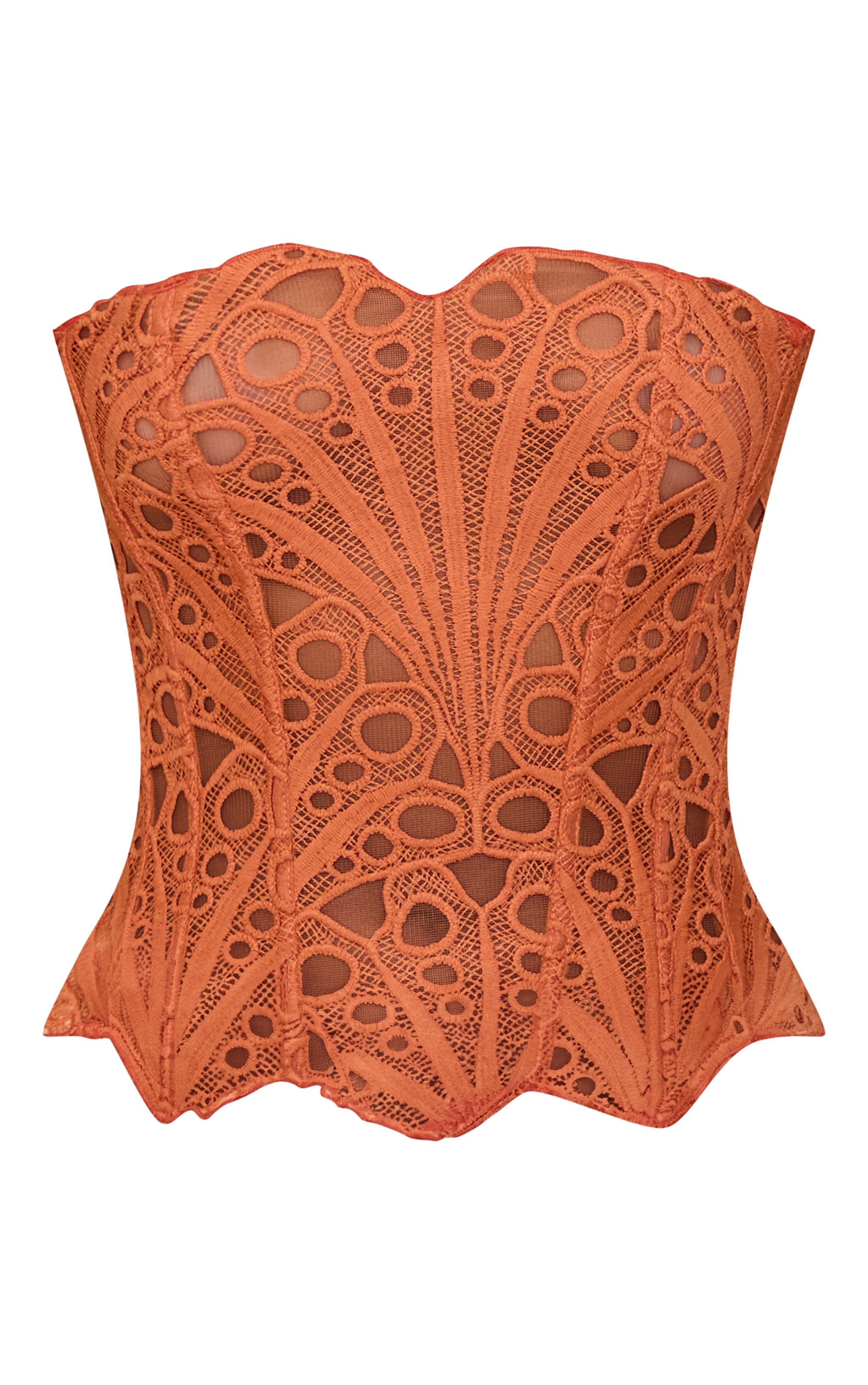 Apricot Textured Sheer Floral Lace Corset image 5