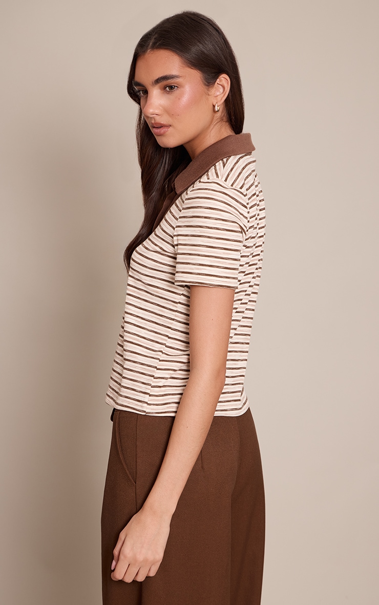 Light Brown Soft Rib Striped Detail  Collared Short Sleeve Top  image 2