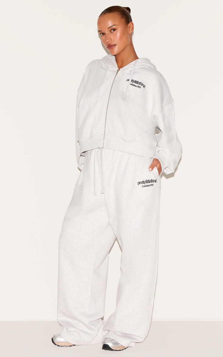 Plus Washed Grey Premium Print Wide Leg Sweatpants image 1