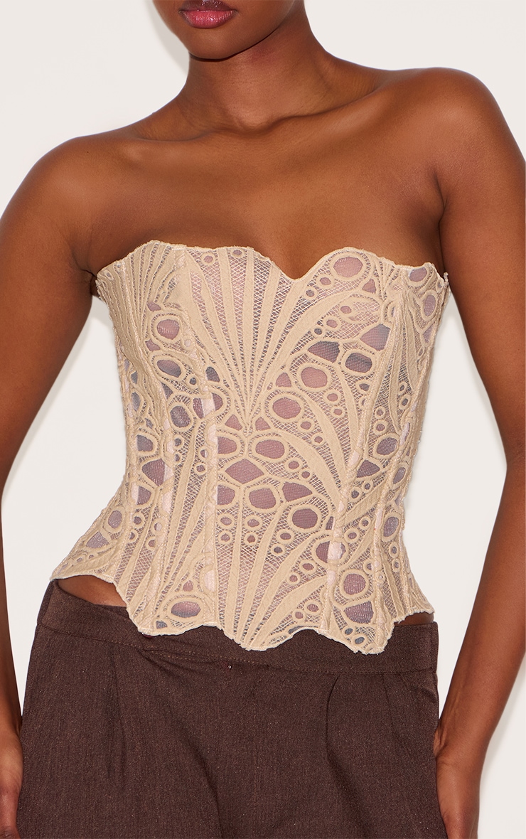Almond Textured Sheer Floral Lace Corset image 4