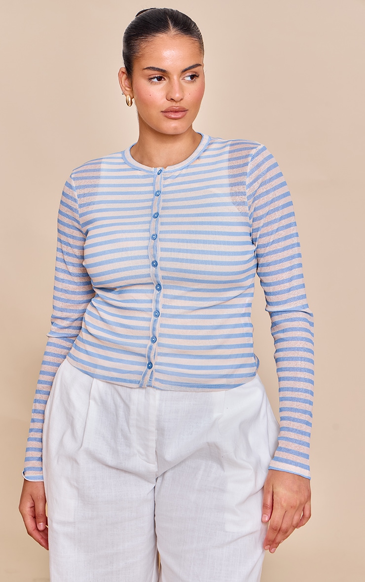Plus Sky Blue Striped Sheer Button Up Top image 1