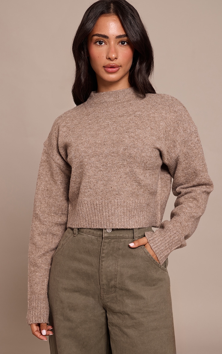 Petite Taupe Knit High Neck Crop Sweater image 1