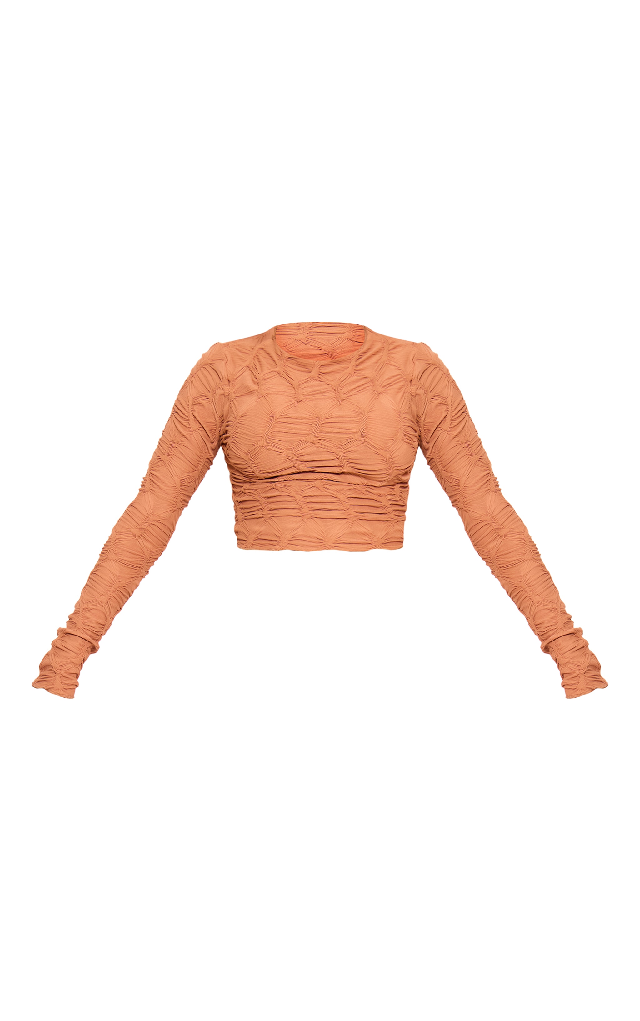 Camel Textured Long Sleeve Crop Top image 5