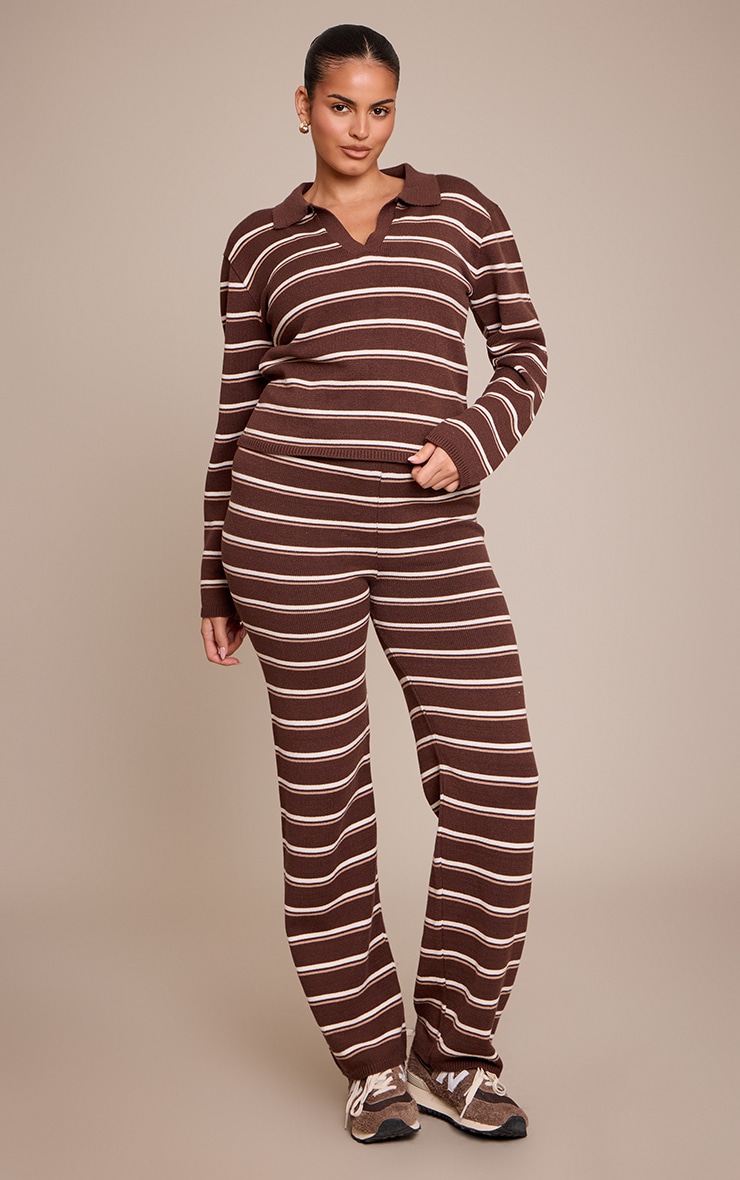 Plus Chocolate Striped Compact Knit Jumper image 3