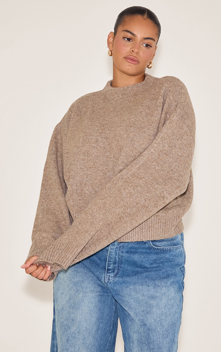 Plus Taupe Knit High Neck Crop Jumper image 1