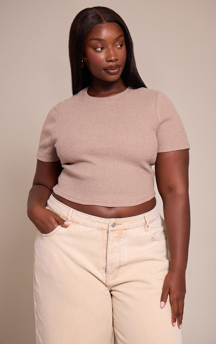 Plus Oatmeal Soft Touch Rib Crop Top image 1