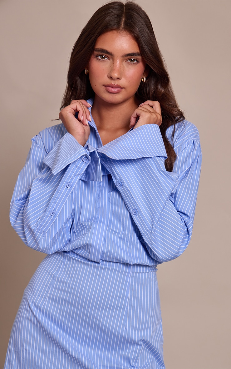 Blue Pinstripe Button Down Shirt Dress image 4