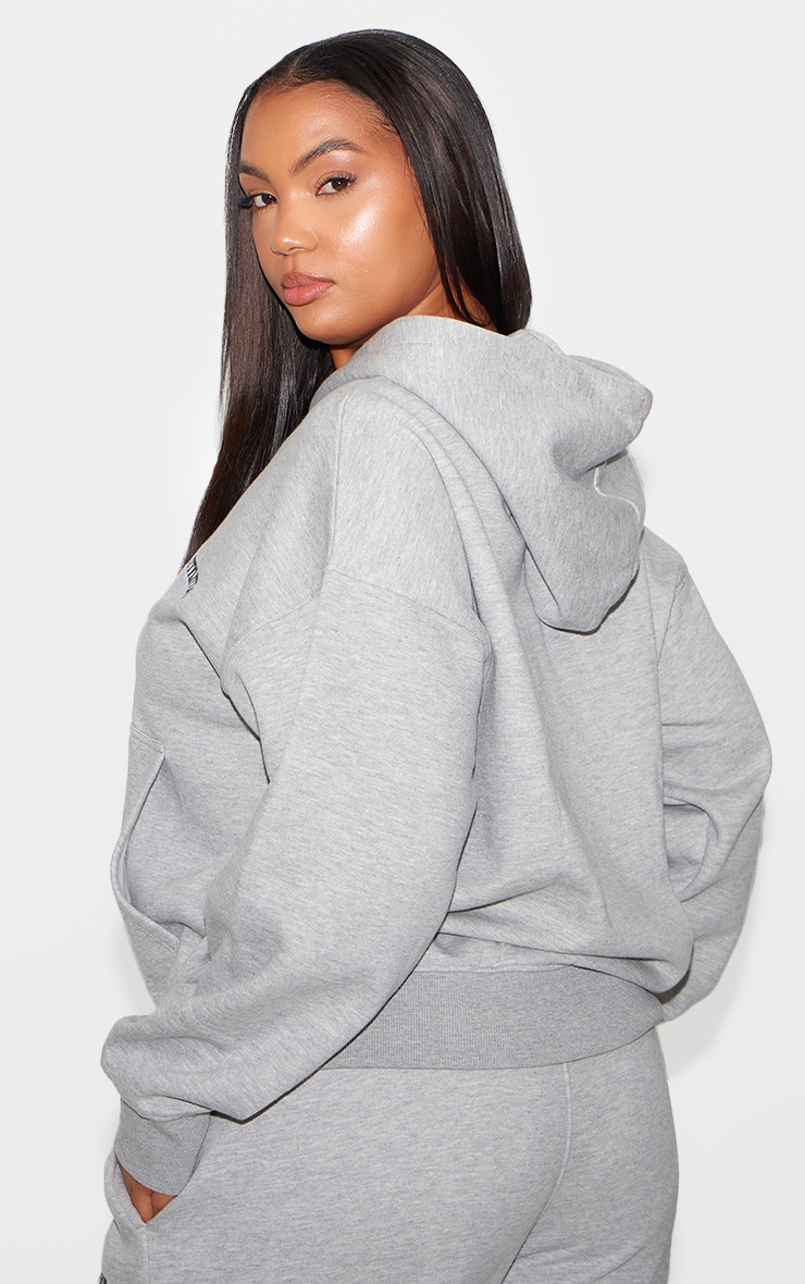 PRETTYLITTLETHING Plus Ash Grey Embroidered Zip Through Hoodie image 2