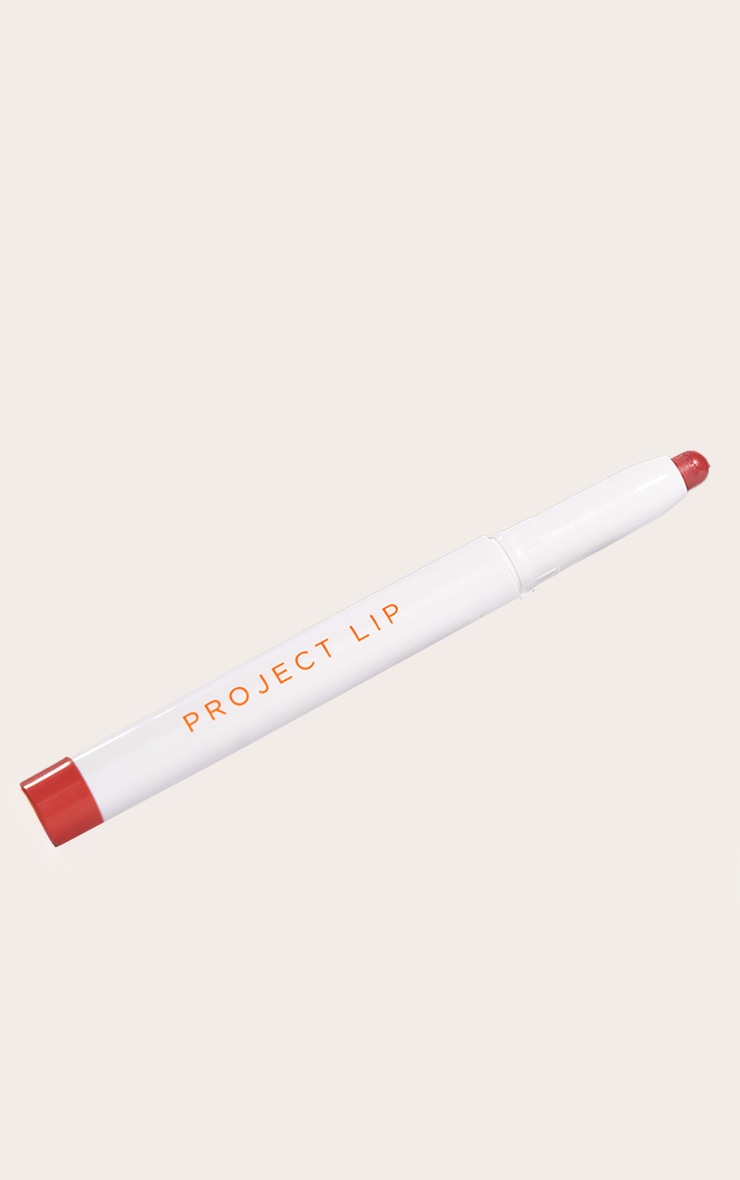 Project Lip Plump & Fill Lip Liner Tease image 3