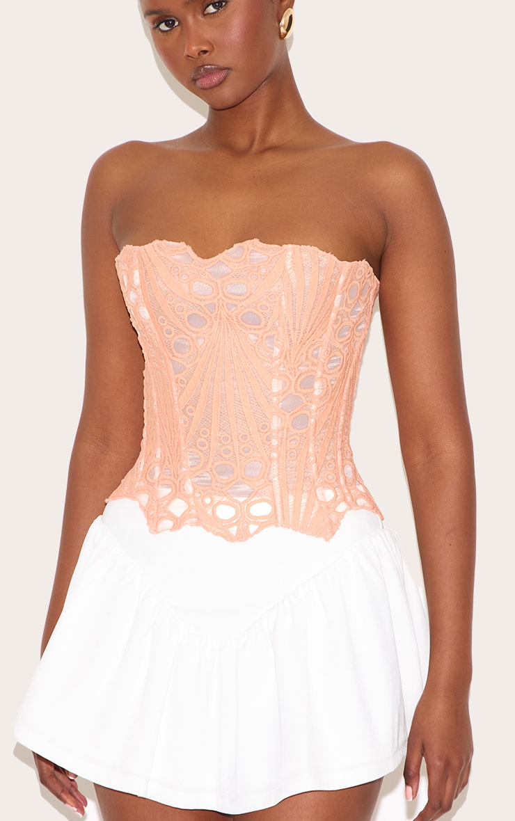 Peach Textured Sheer Floral Lace Corset image 4