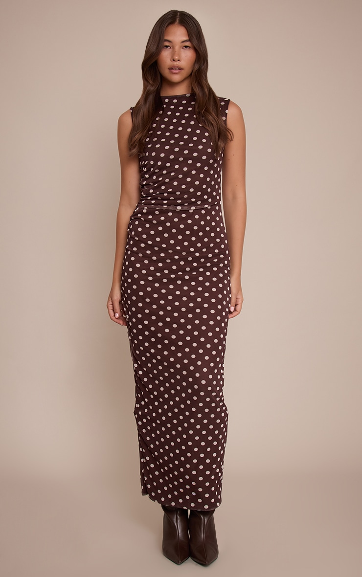 Brown Polka Dot Mesh Maxi Dress image 1