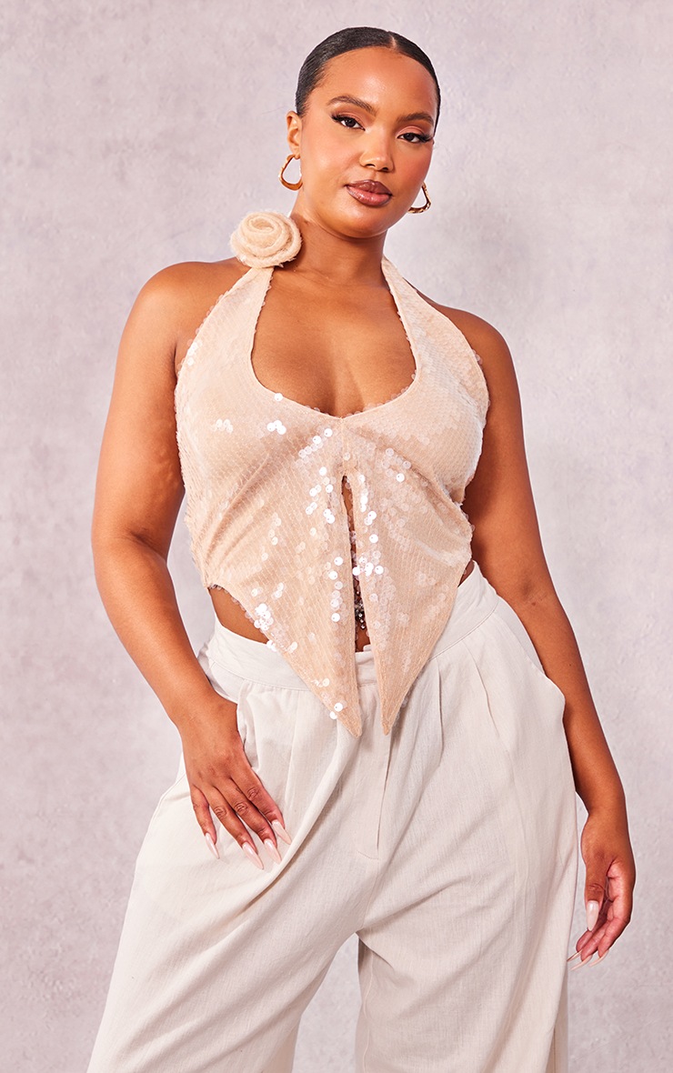 Plus sheer top hotsell