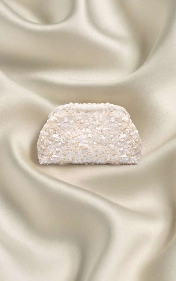 Ivory Sequin Pouch Clutch Bag